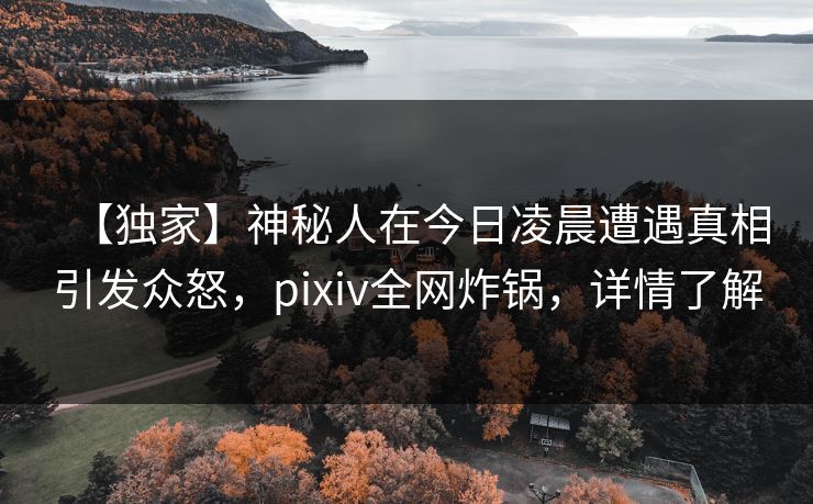 【独家】神秘人在今日凌晨遭遇真相引发众怒，pixiv全网炸锅，详情了解