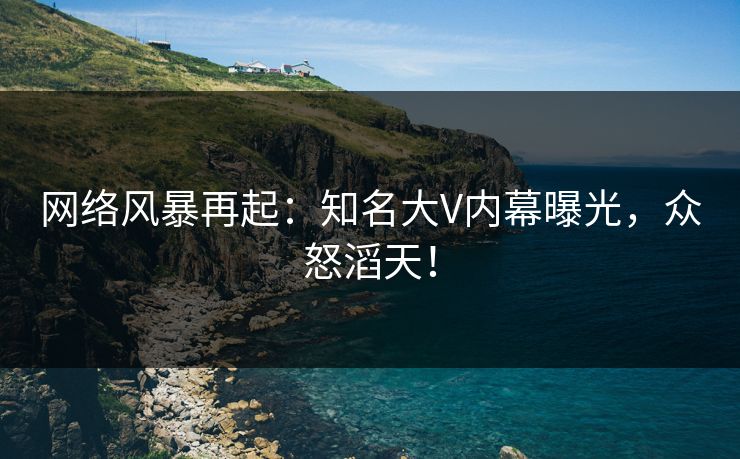 网络风暴再起：知名大V内幕曝光，众怒滔天！