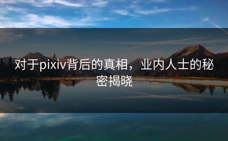 对于pixiv背后的真相，业内人士的秘密揭晓