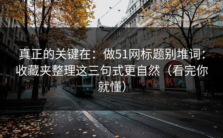 真正的关键在：做51网标题别堆词：收藏夹整理这三句式更自然（看完你就懂）